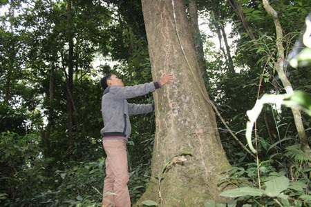 Thế hệ trẻ như anh Sáu đang tiếp tục noi gương các già làng trong việc bảo vệ rừng
