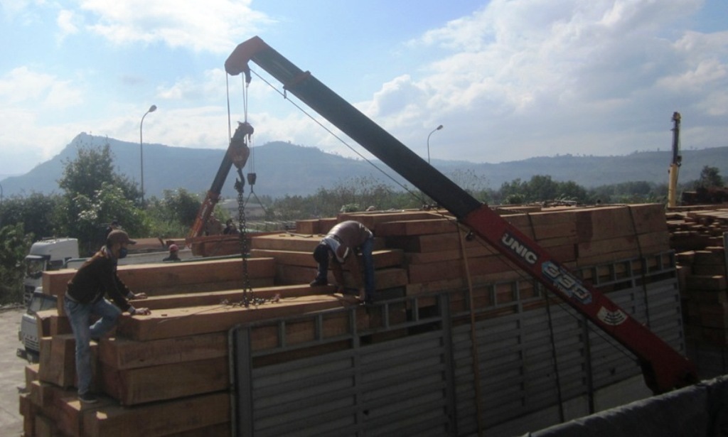 Để rút ngắn thời gian, các doanh nghiệp đã tiến hành san tải đối với các lô hàng