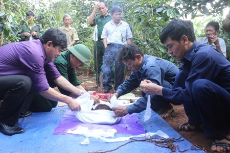 Lực lượng tìm kiếm 