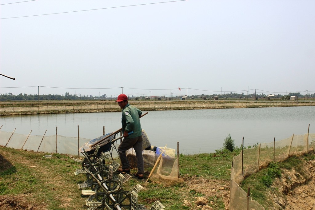 Dù có những năm nuôi trồng khó khăn nhưng kinh tế của gia đình anh Hòe cũng khá hơn so với trước
