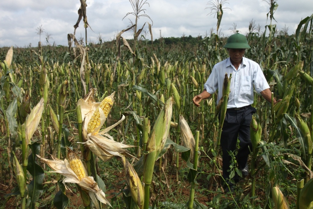 Đưa ra nhiều lí do như: 