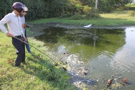 Dân kêu trời vì nhà máy chế biến bột cá xả thải ô nhiễm