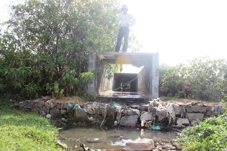 Người dân địa phương cho biết, nhà máy vẫn lén lút xả nước thải vào ban đêm