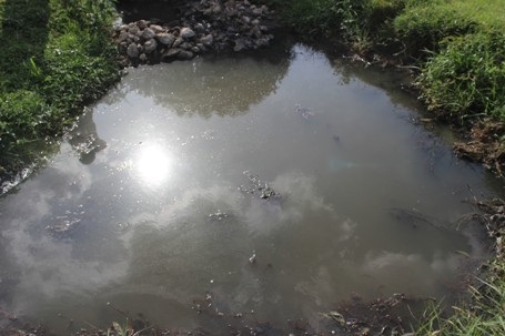 Nguồn nước thải ra từ cống thoát nước của Khu công nghiệp đặc quánh một màu đen và rất hôi thối