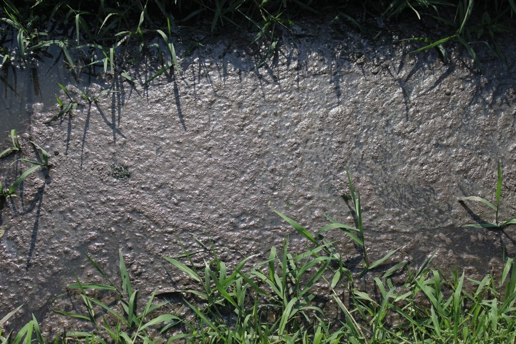 Dòng nước thải ra môi trường bị kết tủa thành một màu đen đặc quánh