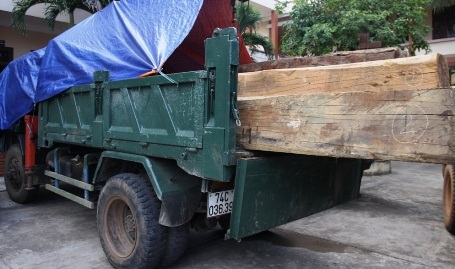 Số gỗ do cơ quan chức năng bắt giữ, quy tròn hơn 8,3m3