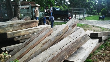 Bãi tập kết gỗ cơ quan chức năng phát hiện