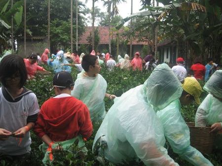 Hơn 160 học sinh trải nghiệm làm nông dân - 2 Hơn 160 học sinh trải nghiệm làm nông dân - 2