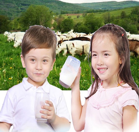 Những điều mẹ cần biết về việc sử dụng sữa dê cho bé - 1 Những điều mẹ cần biết về việc sử dụng sữa dê cho bé