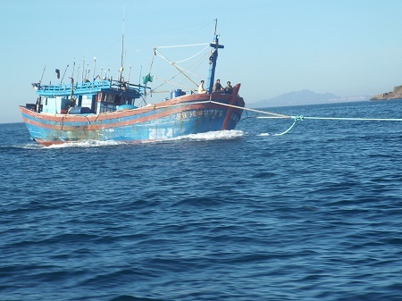 Tránh bão số 4, dừng đưa du khách tham quan Vịnh Nha Trang