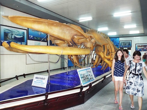 Du khách tham quan Bảo tàng Hải dương học Nha Trang - Ảnh: Viết Hả