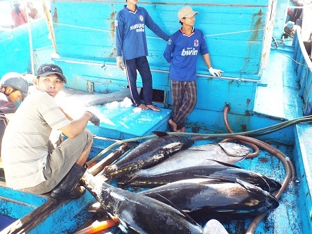 Thành lập 80 tổ, đội chuyên đánh bắt ở Hoàng Sa, Trường Sa