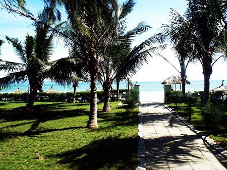 Một con đường nhỏ từ trên đồi dẫn đến bãi biển Dốc Lết.