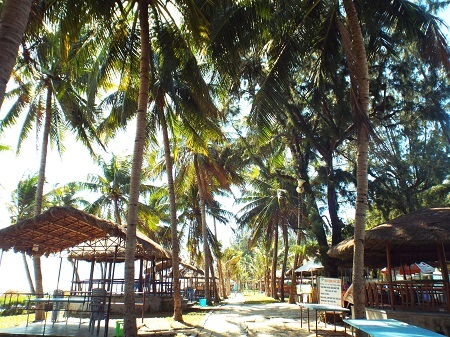 Một con đường nhỏ từ trên đồi dẫn đến bãi biển Dốc Lết.