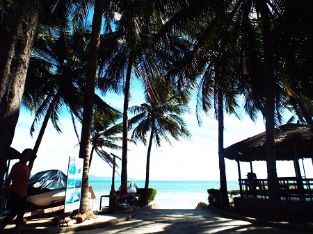 Một con đường nhỏ từ trên đồi dẫn đến bãi biển Dốc Lết.