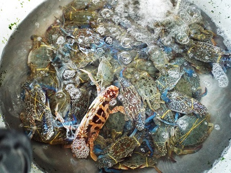 Một con đường nhỏ từ trên đồi dẫn đến bãi biển Dốc Lết.