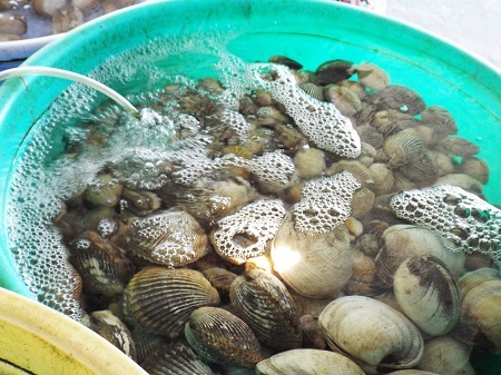 Một con đường nhỏ từ trên đồi dẫn đến bãi biển Dốc Lết.