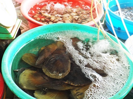 Một con đường nhỏ từ trên đồi dẫn đến bãi biển Dốc Lết.