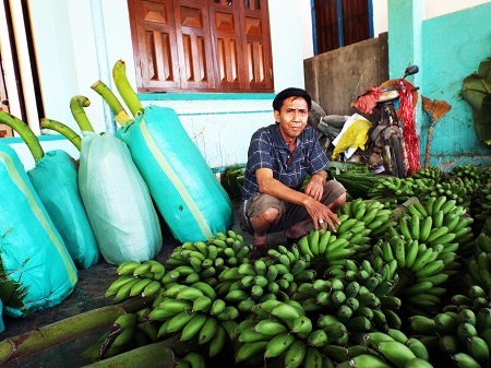 Khan hiếm nguồn cung, giá chuối Tết “leo thang” từng ngày
