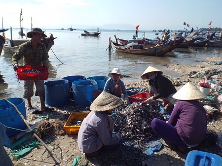 Người dân huyện Vạn Ninh đang chuẩn bị thức ăn cho cá bớp.