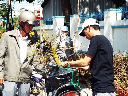 Chở xuân về nhà. (Ảnh: Viết Hảo)