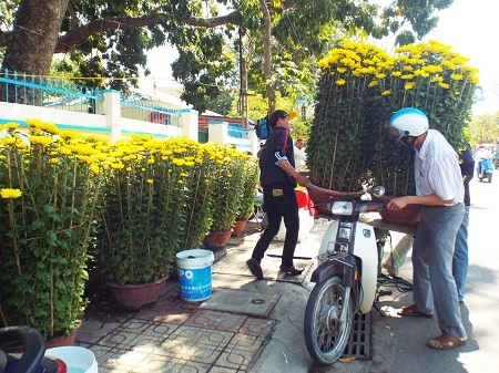 Chở xuân về nhà. (Ảnh: Viết Hảo)