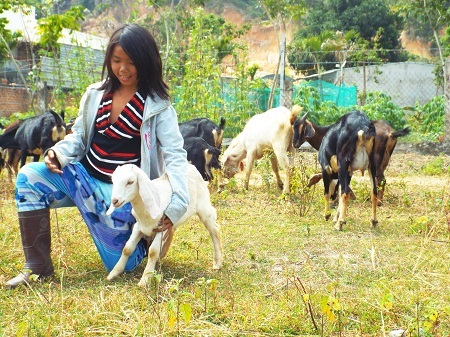Trẻ em chăn dê trên thảo nguyên.