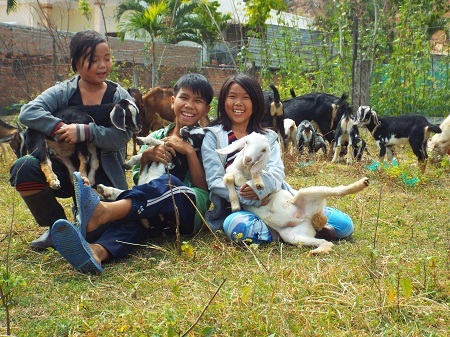 Niềm vui của trẻ chăn dê. Bức ảnh cho thấy dê là loài vật rất dễ thương, hiền lành.