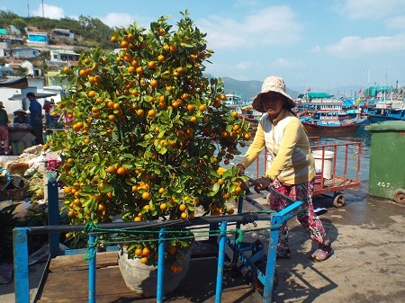 Dân đảo Trí Nguyên chở Tết về nhà.