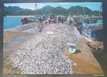 Du khách tham quan triển lãm.