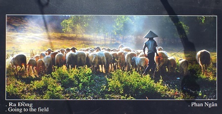 Du khách tham quan triển lãm.