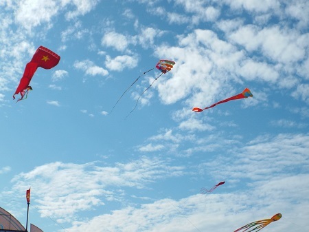 Du khách thư thả tắm nắng, ngắm diều nghệ thuật.