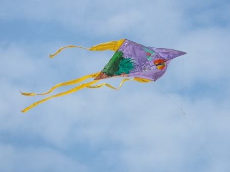 Du khách thư thả tắm nắng, ngắm diều nghệ thuật.