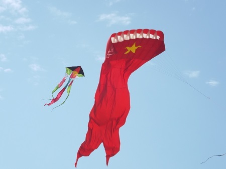 Du khách thư thả tắm nắng, ngắm diều nghệ thuật.