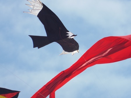 Du khách thư thả tắm nắng, ngắm diều nghệ thuật.