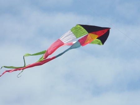 Du khách thư thả tắm nắng, ngắm diều nghệ thuật.