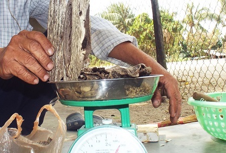 Hiện nay, 1kg trầm nhân tạo có giá thị trường là 2,2 triệu đồng.