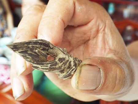 Một mẩu trầm rất quý hiếm ở Vạn Ninh.