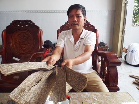 Trầm sánh bì được tạo ra từ vỏ cây dó bầu.