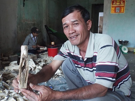 Trầm ở Vạn Ninh, Khánh Hòa sau khi được soi từ lõi cây dó bầu.