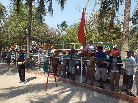 Trường đua chó ở Đảo Khỉ.