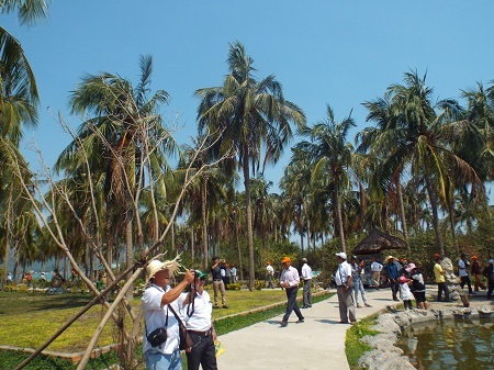 Du khách tham quan khu vực tập trung khỉ sinh sống.
