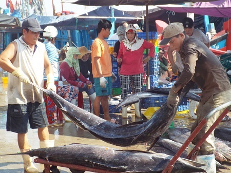 Nắng nóng kỷ lục "hoành hành"