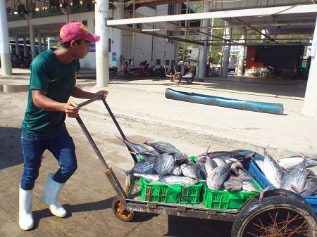 Ngư dân vận chuyển cá dưới nắng gắt.