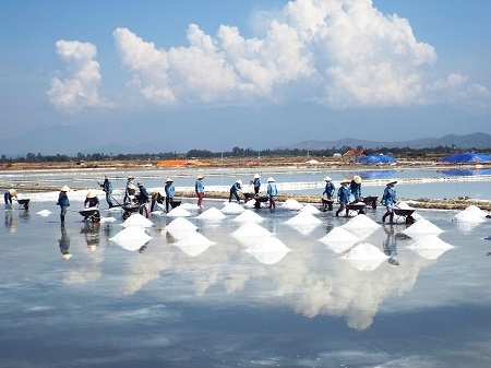 Cánh đống muối Ninh Diêm, Ninh
Hòa, Khánh Hòa.