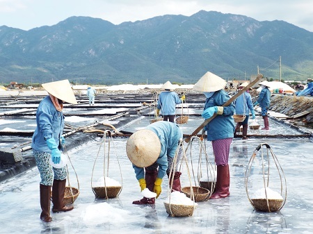Cảnh lao động của diêm dân.