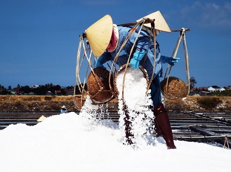 Những nữ diêm dân trên đồi muối.