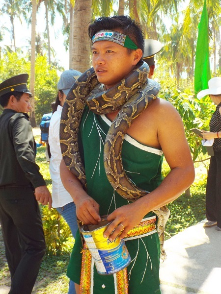 Một hình ảnh ấn tượng tại lễ hội đường phố.