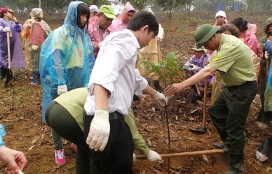 Các cán bộ vườn quốc gia Ba Vì hướng dẫn các tình nguyện viên trồng cây đúng cách.