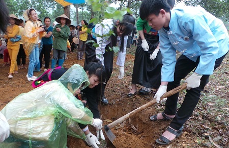 Các tình nguyện viên, học sinh, sinh viên triển khai trồng cây trên diện tích khoảng 7 héc ta.